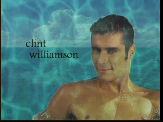absolute aqua gay dvd structure of a gay brain