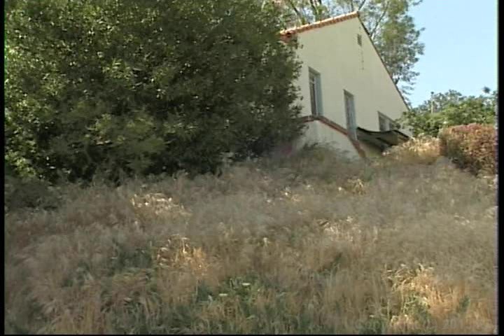 Texas Dildo Masquerade Heatwave Adult DVD Empire
