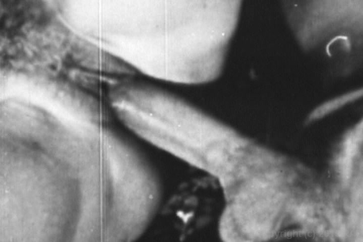 Streaming Celebrity Porn 84
