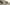 Sexy Dana DeArmond and Petite Riley Reid Get It On Image