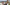 Kleio Valentien and Holly Hendrix Threesome Squirt Fest Image