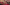 Sweet Brunette Alison Rey and Blonde MILF Jodi West Share His Big Cock Image