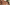 Latina Beauty Mercedes Carrera Swallows a Cum Load After a Great Fuck Image