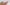 Nympho Blondes Emma Hix & Tallie Lorain Threesome POV Image