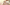 Scandalous Teen Slut Kay Carter Desires Her New Stepdaddy Image