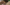 Scene 4 Image
