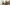 Behind The Scenes Of 1st Anal Porn Shoot With Bree Brooks Image