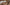 Cum Covered Titties For Sexy Trans Woman After A Deep Backdoor Fuck Image