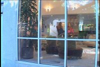 LEsbian Free For All in Latex Image