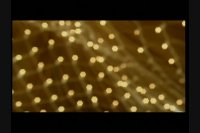 Eastern Promise Image