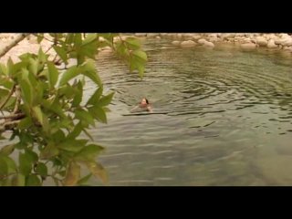 Liz Honey Being Used By Military Image