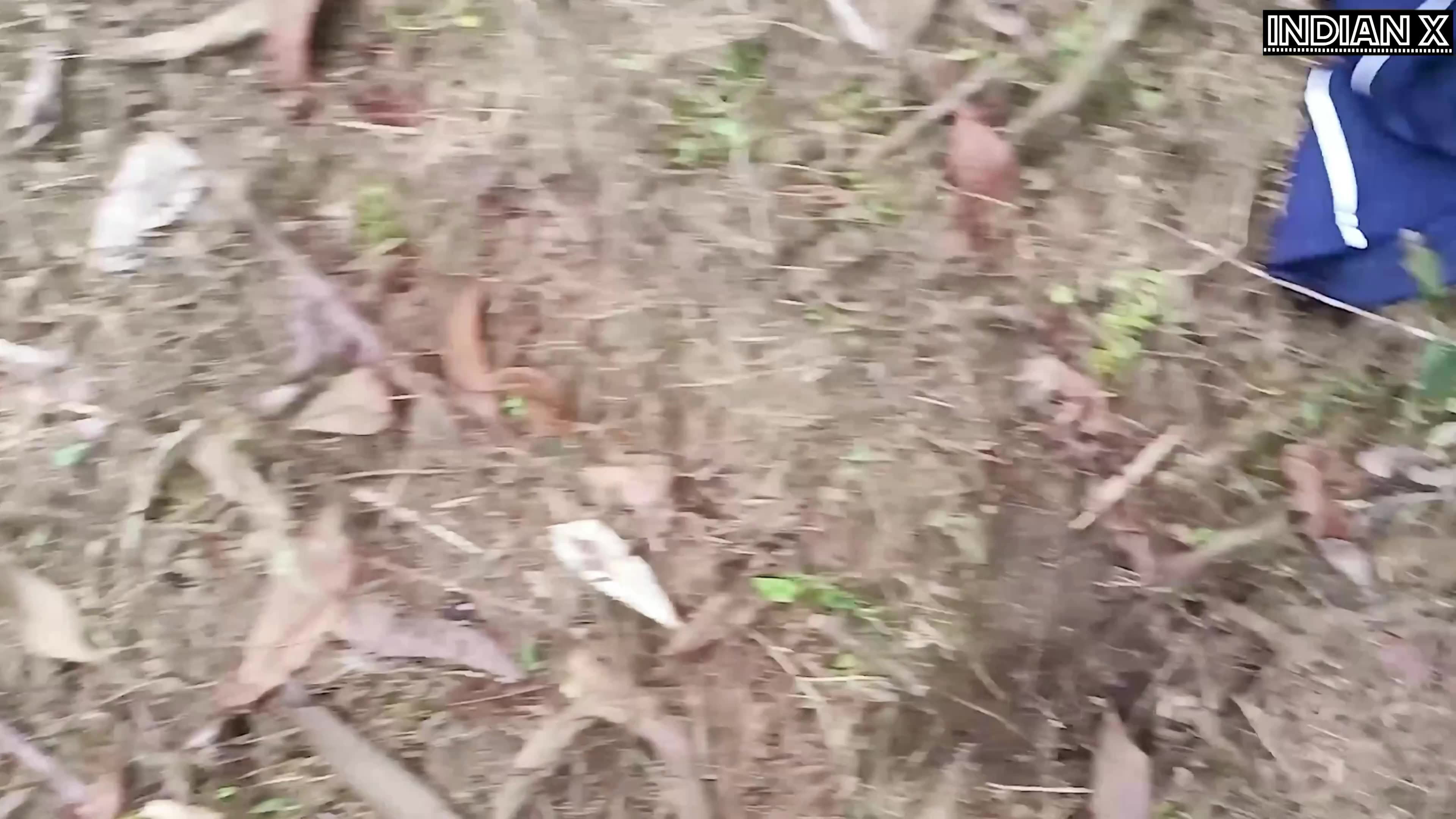 Hot Couple Having Sex In Jungle | Indian X | SugarInstant