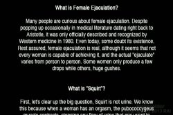 Captura de 'Great American Squirt Off 2, The' nº 1