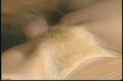 'Porn Star Legends Helga Sven' screenshot nº 13
