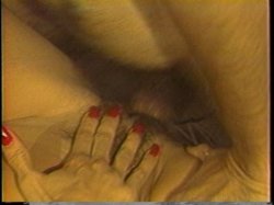 Captura de 'Porn Star Legends Kimberly Carson' nº 56