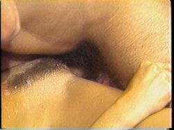 Captura de 'Porn Star Legends Kimberly Carson' nº 90