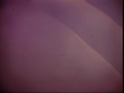 Captura de 'No Holes Barred Vol. 10' nº 114