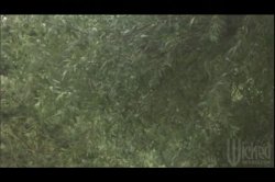 'Happy?' screenshot nº 126