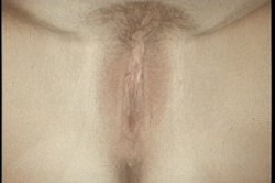 Captura de 'Porn Star Legends: Seka' nº 127