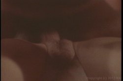Captura de 'Porn Star Legends: Seka' nº 48