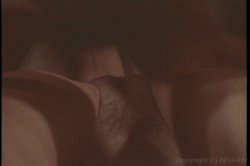 Captura de 'Porn Star Legends: Seka' nº 49