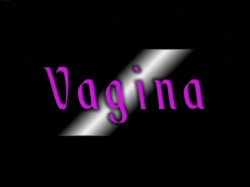 'Taoist Sexuality' screenshot nº 59