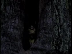 'Taoist Sexuality' screenshot nº 66