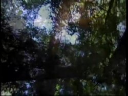 'Taoist Sexuality' screenshot nº 74