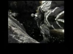'Taoist Sexuality' screenshot nº 9