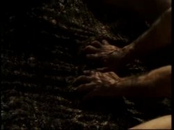 'Taoist Sexuality' screenshot nº 136