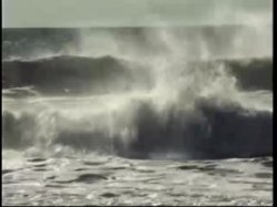 'Taoist Sexuality' screenshot nº 15