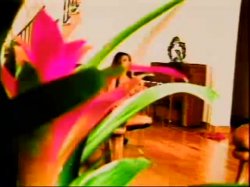 Captura de 'Decadent Divas 11' nº 50
