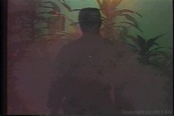 Captura de 'Porn Star Legends Lynn LeMay' nº 51