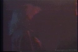 Captura de 'Porn Star Legends Lynn LeMay' nº 52