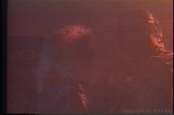 Captura de 'Porn Star Legends Lynn LeMay' nº 53