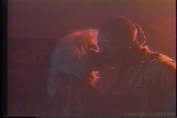 Captura de 'Porn Star Legends Lynn LeMay' nº 54