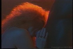 Captura de 'Porn Star Legends Lynn LeMay' nº 57