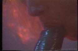Captura de 'Porn Star Legends Lynn LeMay' nº 73
