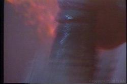 Captura de 'Porn Star Legends Lynn LeMay' nº 74