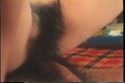 Captura de 'Porn Star Legends Little Oral Annie' nº 44