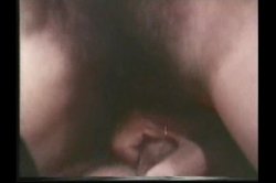 Captura de 'Porn Star Legends Bridgette Monet' nº 133