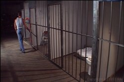 Captura de '1 Night In Jail' nº 40