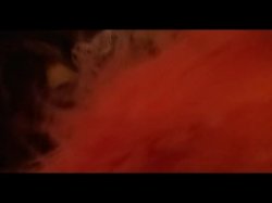 'Colorsex' screenshot nº 139