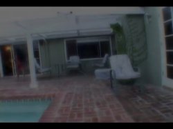 'Bad Ass Bitches 5' screenshot nº 39
