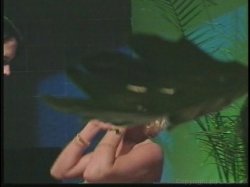 'Porn Star Legends Houston' screenshot nº 28