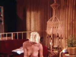 Captura de 'Danish Erotica 7 - Her Private Secretary' nº 23