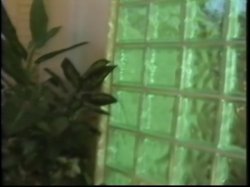 'Under The Cherry Tree' screenshot nº 97