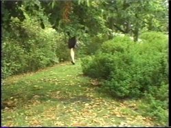 Captura de 'Rodney Moore's Red Rumpers' nº 39