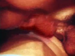 Captura de 'Erotic World of Seka 504 - Seka's Fullfillment' nº 34