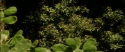 Captura de 'Unforgettable' nº 40